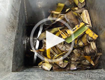 香蕉樹(shù)脫水視頻